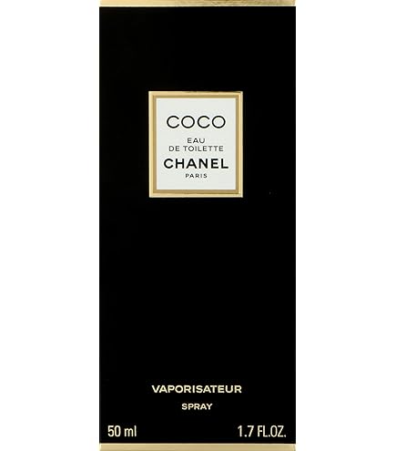 Chanel Coco for Women - Edp Spray, 3.4 Ounce : Amazon.ca: Beauty